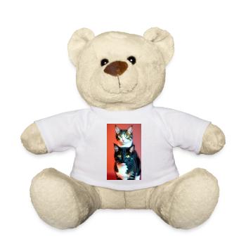 Kurzhaarige Hauskatzen - Teddy - Weiß - Vorne