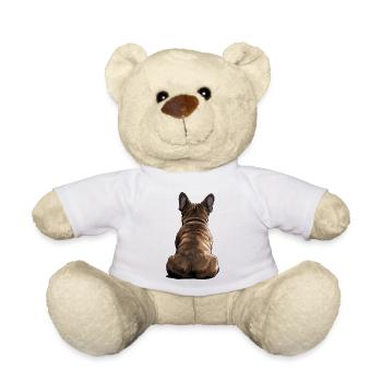 Bouledogue français - Nounours - blanc - Devant