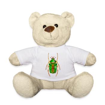 Stephanorrhina guttata-beautiful insect - Teddy Bear - white - Front
