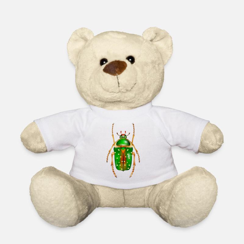 Stephanorrhina guttata-wunderschönes Insekt - Teddy - Weiß