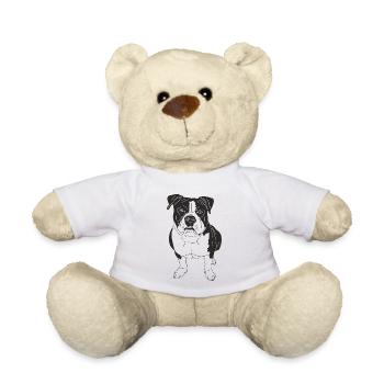 American Bully XL - Teddy - Weiß - Vorne