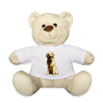 Chien Golden retriever - Nounours - blanc - Devant