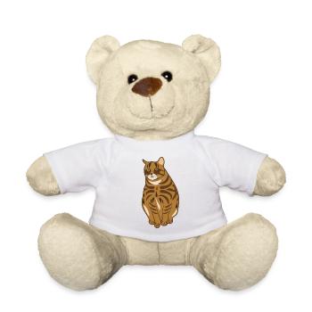 Landrassen-Katze - Teddy - Weiß - Vorne