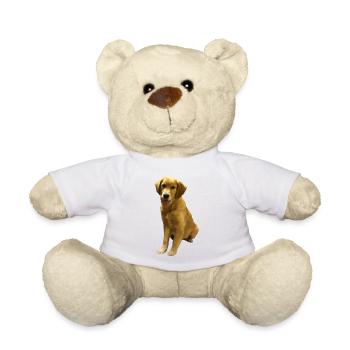 Portrait du chiot Golden Retriever - Nounours - blanc - Devant