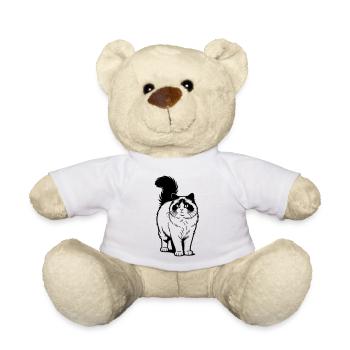 Ragdoll-Katze - Teddy - Weiß - Vorne