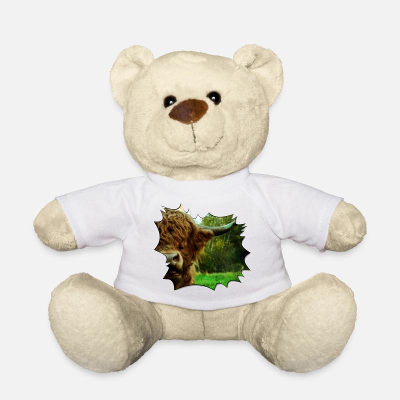 Hochlandrind - Teddy - Weiß