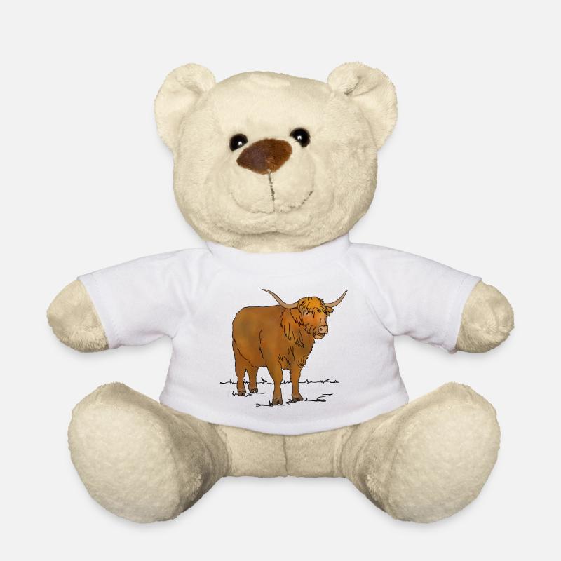 Schottisches Hochlandrind - Teddy - Weiß