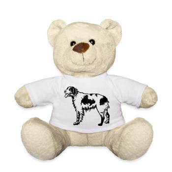 Epagneul Breton - Nounours - blanc - Devant
