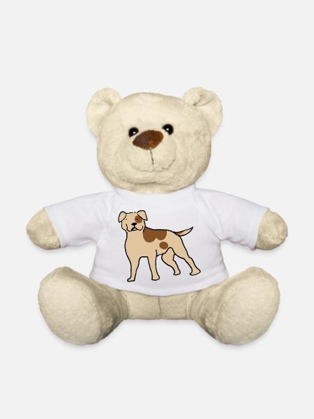 American Bulldog - Teddy Bear - white