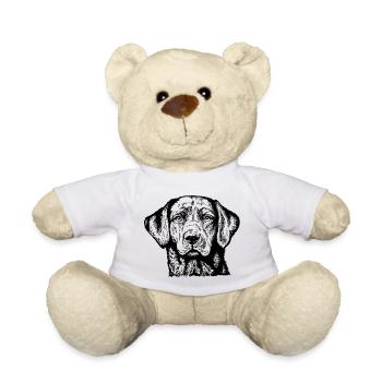 Labrador Retriever Portrait - Teddy - Weiß - Vorne