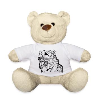 Hund - Teddy - Weiß - Vorne