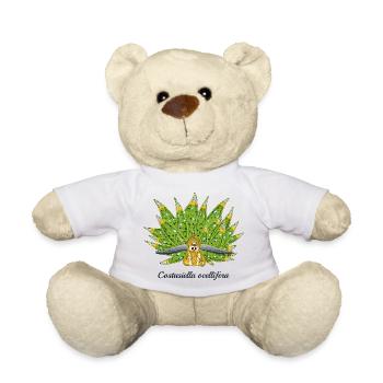 Cute Sea Snail, Leaf Sheep, Drawing - Teddy Bear - white - Front