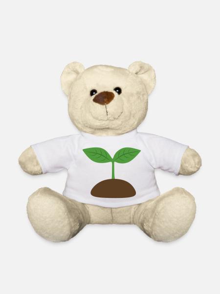 Sämling - Teddy - Weiß