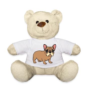 Bouledogue français - Nounours - blanc - Devant