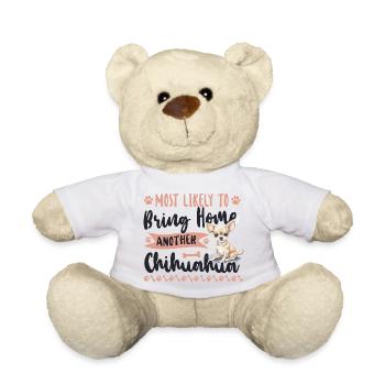 Chihuahua Chihuahueño Most Likely - Teddy Bear - white - Front