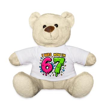 7. Geburtstag Kinder 67 Meme Humor Geschenkidee - Teddy - Weiß - Vorne