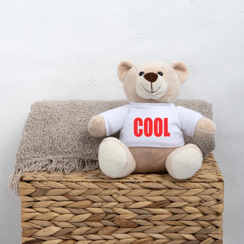 Cool Teddy