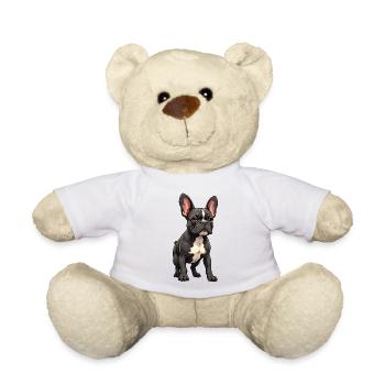 Französische Bulldogge, French Bulldog Bouledogue - Teddy - Weiß - Vorne