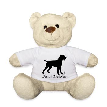 Deutsch Drahthaar - Teddy - Weiß - Vorne