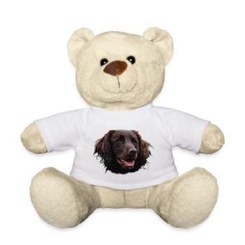 Münsterländer, dogs, hunting dog - Teddy Bear - white - Front