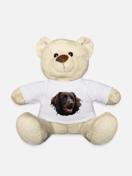 Münsterländer, chiens, chien de chasse - Nounours - blanc