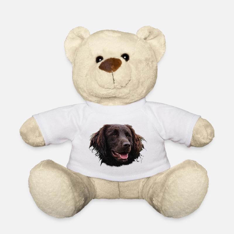 Münsterländer, chiens, chien de chasse - Nounours - blanc
