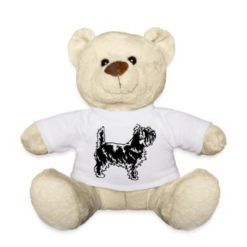 Cairn Terrier - Teddy - Weiß - Vorne