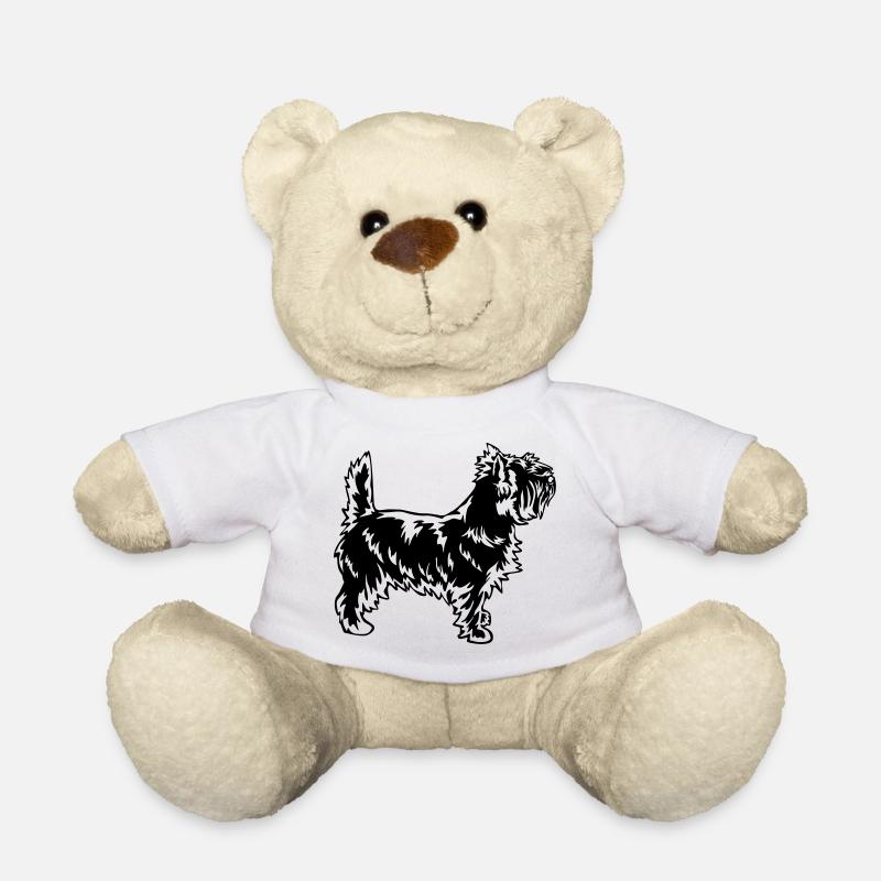 Cairn Terrier - Nounours - blanc