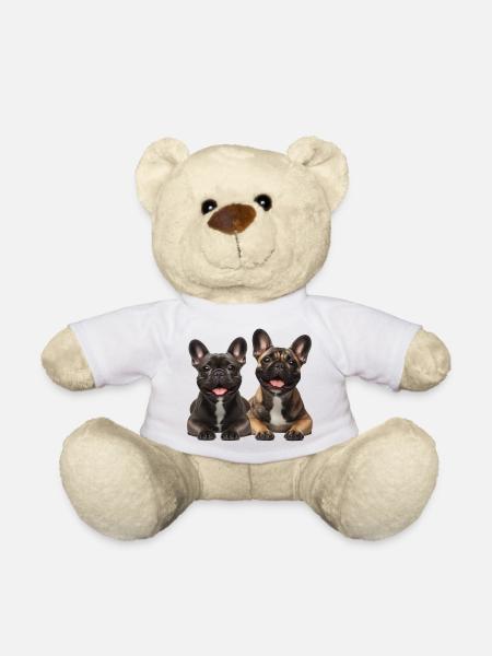 Zwei fröhliche französische Bulldoggen - Teddy - Weiß