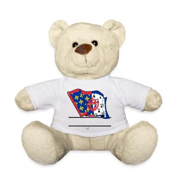 Pays_de_la_Loire_Vlag + boîte de texte - Nounours - blanc - Devant