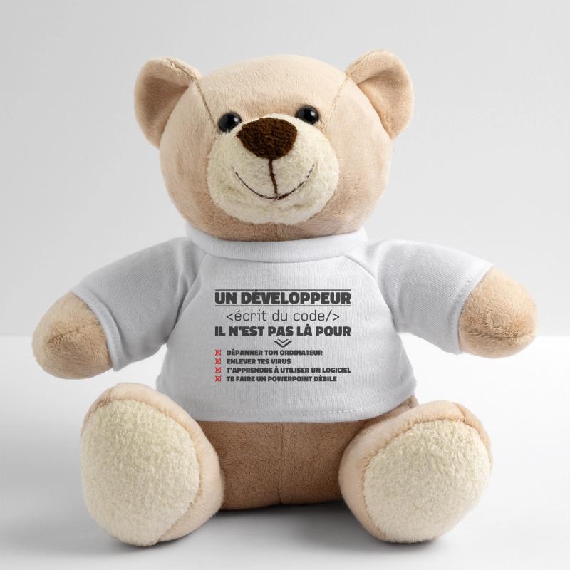 Un Développeur Écrit du Code Cadeau Nounours