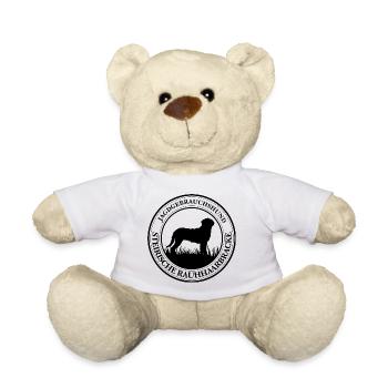 Steirische Rauhhaarbracke Jagdgebrauchshund Hunde - Teddy - Weiß - Vorne