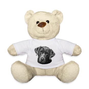 Labrador Retriever - Teddy Bear - white - Front