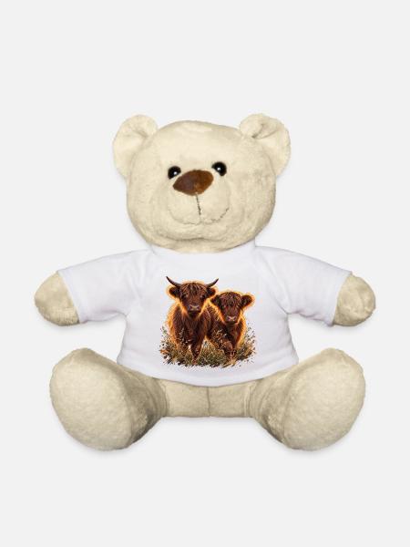 Highlandrinder im Abendlicht - Teddy - Weiß