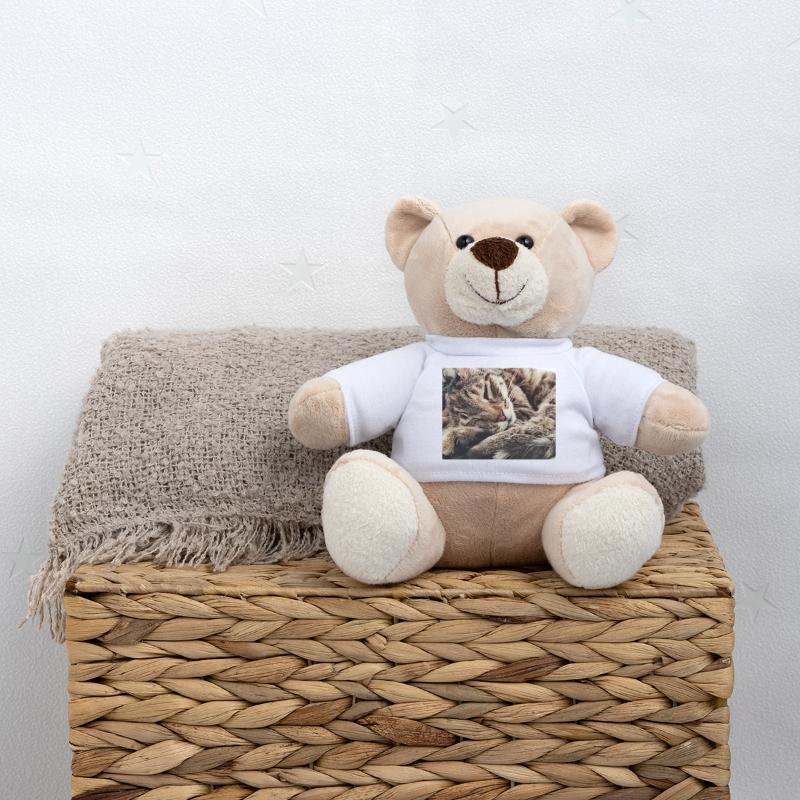 confortable Nounours