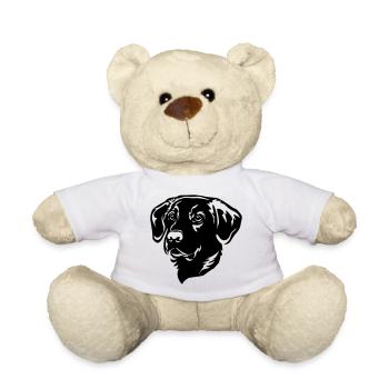 Labrador Kopf - Teddy - Weiß - Vorne