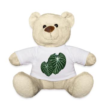 Philodendron Gloriosum - Nounours - blanc - Devant