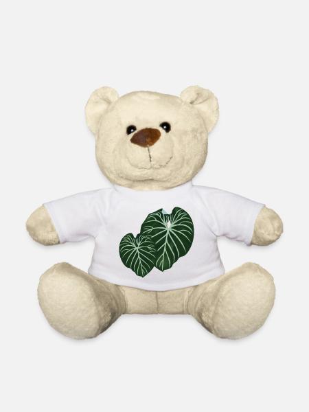 Philodendron Gloriosum - Teddy Bear - white