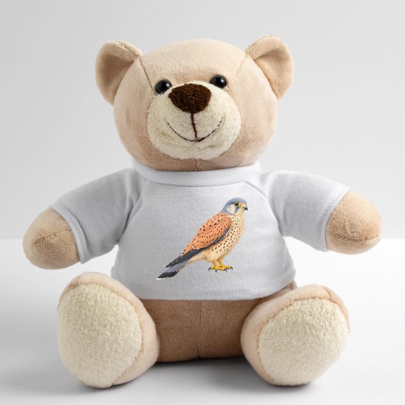 Männchen des Turmfalken Teddy