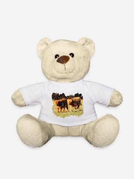 Zwei zottelige Hochland Kälber auf der Weide - Teddy - Weiß