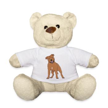 Staffordshire Bullterrier - Nounours - blanc - Devant