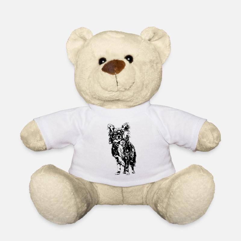 Chihuahua - Nounours - blanc