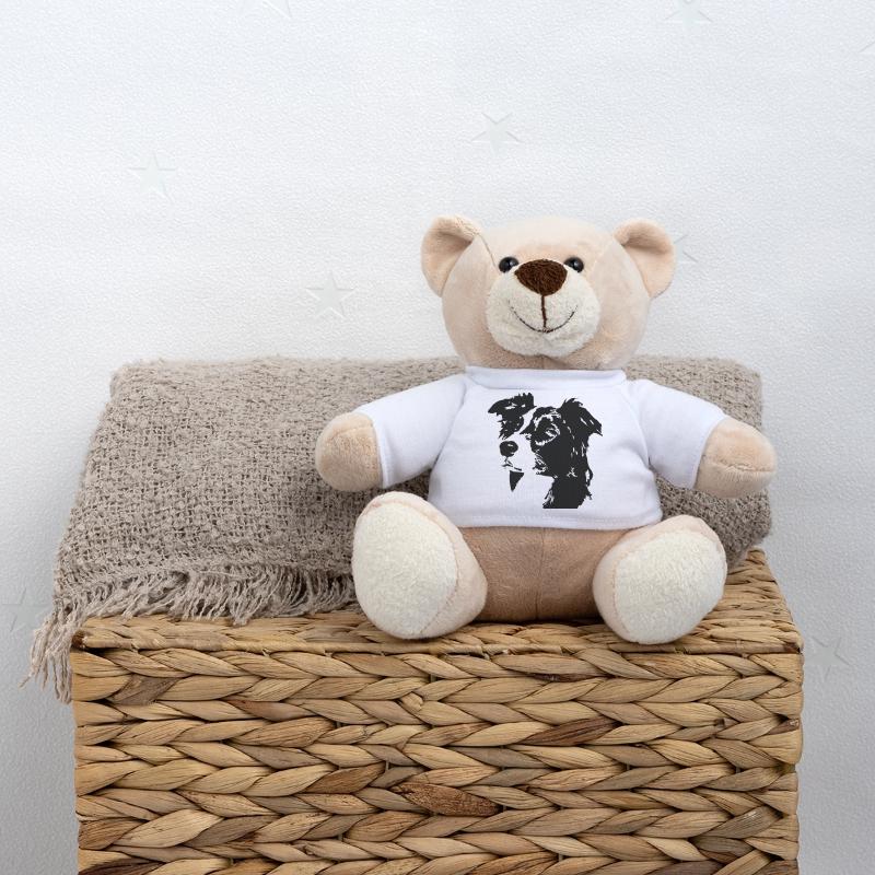 Border Collie Kopf Teddy