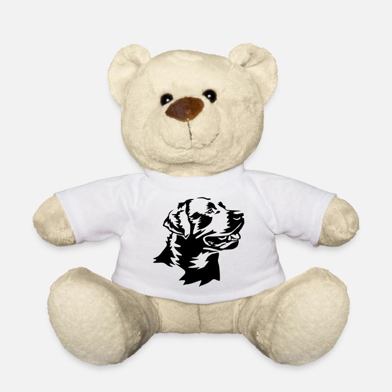 Labrador Kopf - Teddy - Weiß