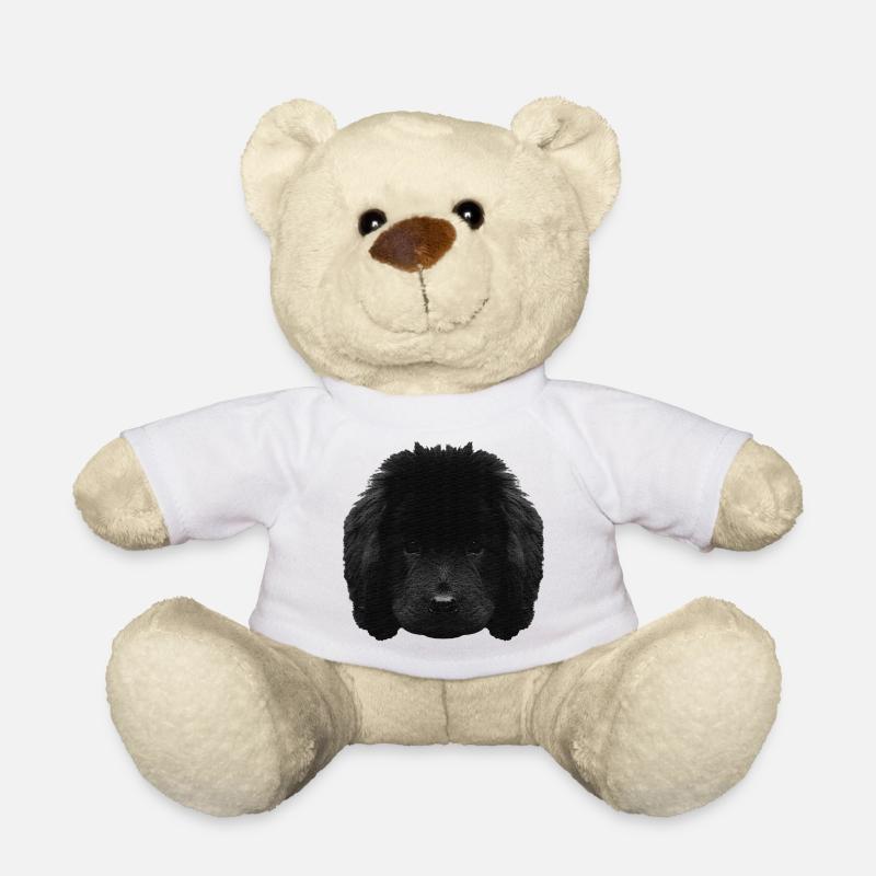 Chiot mignon, chiot Terre-Neuve, races de chiens - Nounours - blanc
