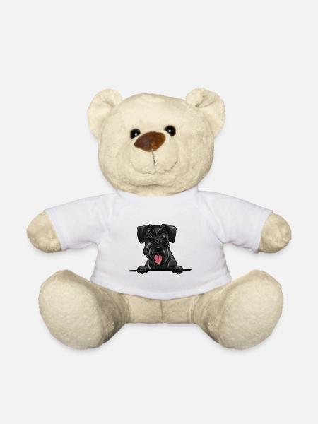 Riesenschnauzerhund für spähende Hundeliebhaber - Teddy - Weiß