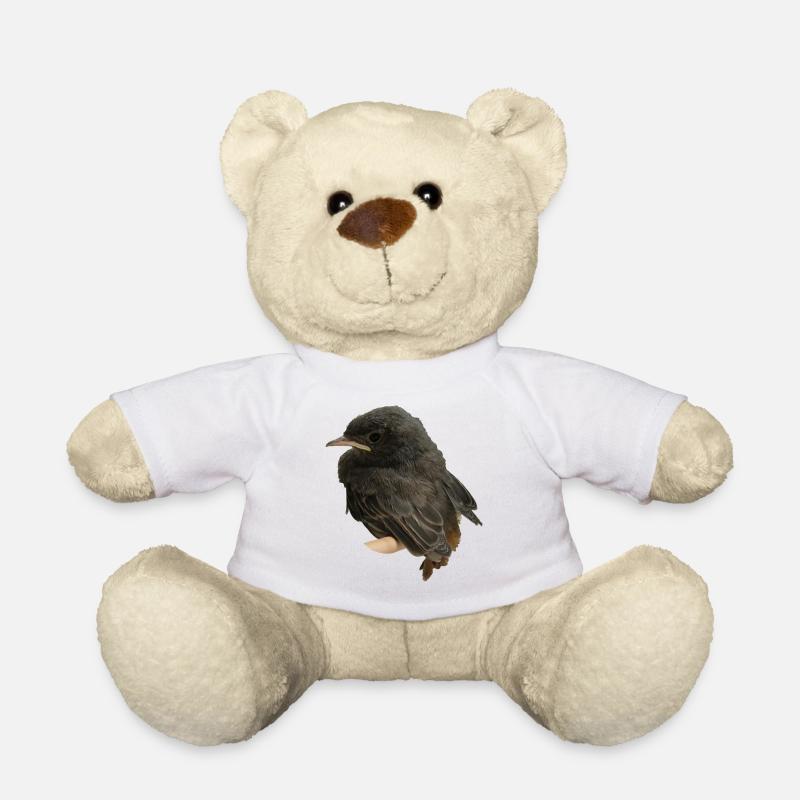 Hausrotschwänzchen Ästling - Teddy - Weiß