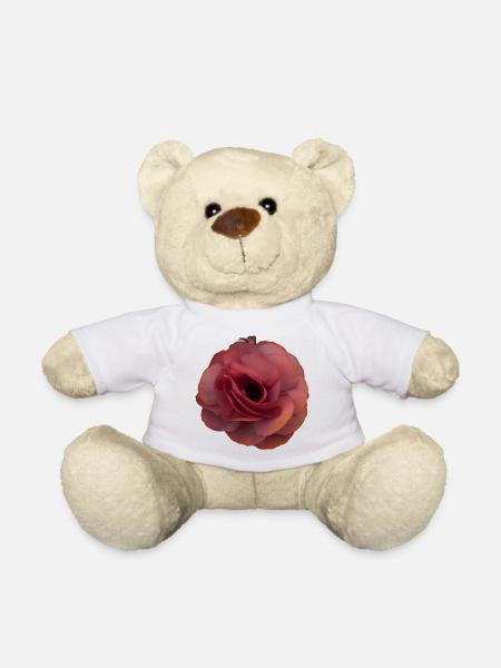 Rosa Rose Blütenpracht - Teddy - Weiß