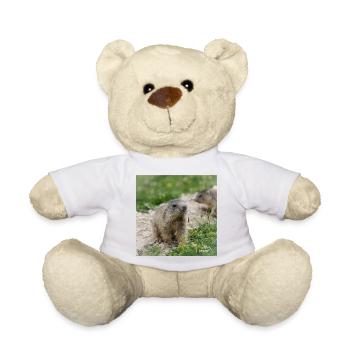 Murmeltier neugierig 4 - Alpenmotiv ganz nah - Teddy - Weiß - Vorne