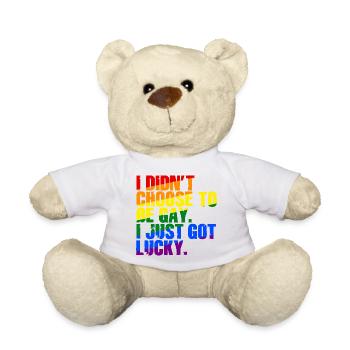 Gay Humor Gay Saying Funny Rainbow Flag - Teddy Bear - white - Front